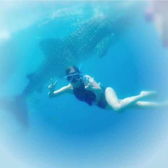 Meet your Posher, Shangri - Picture 1 of 1